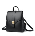 Stylish women's bag with stolen lock