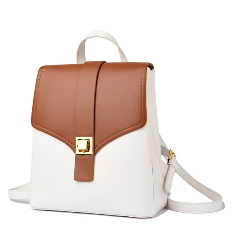 Stylish women's bag with stolen lock